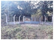 Terreno com 3 hectares, cercado, com port?o, e con