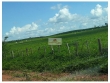 Fazenda com 60 mil hectares, sendo 48.500 hectares