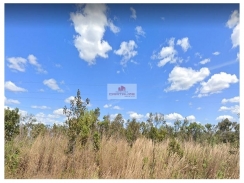 Fazenda com 6600 hectares, plana, dupla aptidão
