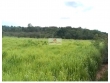 Fazenda com 15000 hectares, dupla aptidão (5000 he