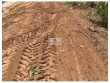  Fazenda com 10.000 hectares, bruta, dupla aptidão