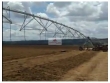 Fazenda de Soja, com 3 casas de funcionários, 2 ga