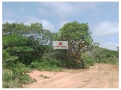 Fazenda com 5500 hectares, dupla aptidão, terra bruta