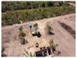Fazenda com 551 hectares, dupla aptidão