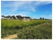 Fazenda com 15 mil hectares, dupla aptidão, 10 mil