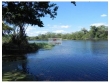 Fazenda com, 460 hectares 200 no capim, com piquet