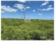 Fazenda com 1900 hectares, dupla aptidão, plana, p