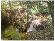 Fazenda na região de Recursolandia - TO, com 1000