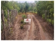 Fazenda com 132 hectares, terra bruta, dupla aptid