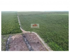 Fazenda com 2840 hectares, dupla aptidão, terra bruta, própria para o cultivo de grãos