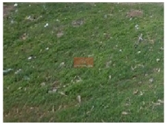 Terreno comercial de (13x30), na Avenida Alameda da Parnaíba, primavera I