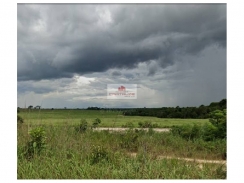 Fazenda para arrendamento, na região de Palmeirante-TO, com 5.200 hectares, nas proximidades de Porto Seco