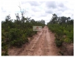 Fazenda com 11.000 hectares, terra bruta, dupla ap
