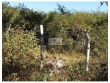 Terreno, 2,9 hectares, Povoado Cacimba Velha, 3KM 